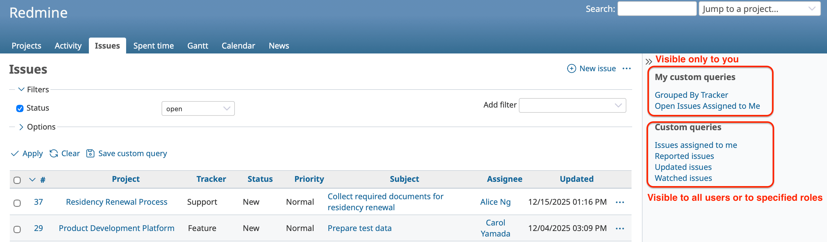 Custom Queries Visibility